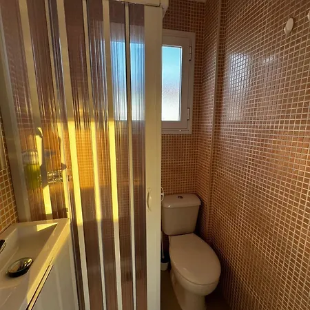 La Flor Del Naranjo *